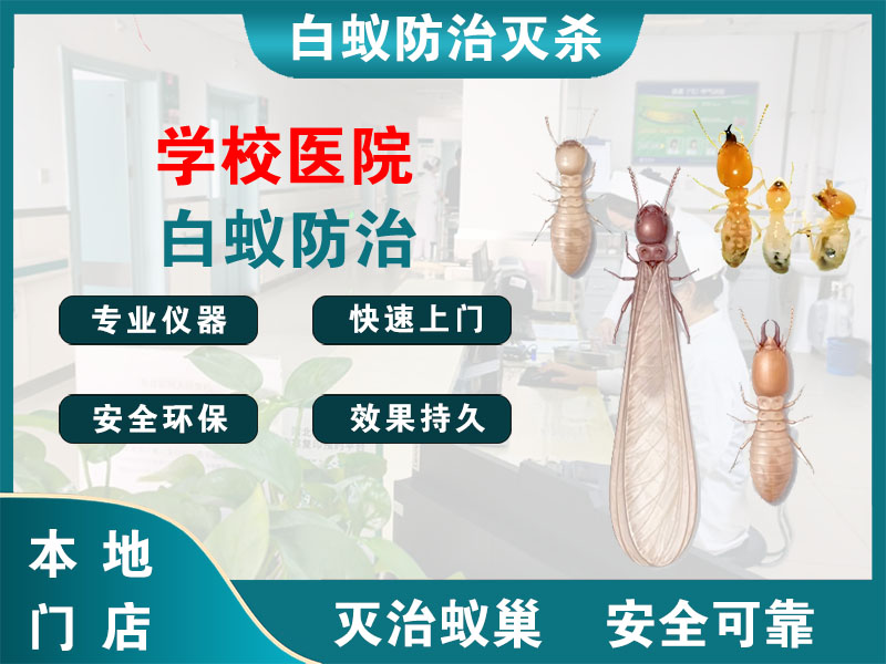 文成学校医院白蚁防治