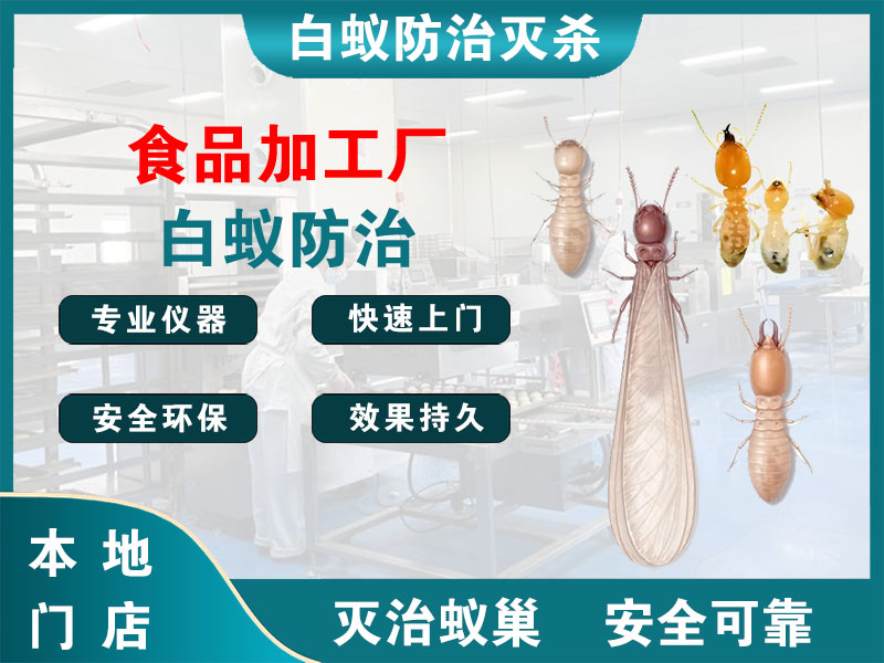 文成食品加工厂白蚁防治