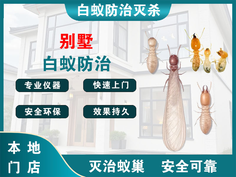 文成别墅白蚁防治